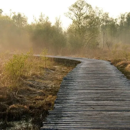 Gasthuys De Peel Bed & Breakfast